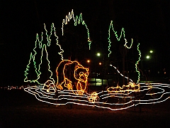 063 Toledo Zoo Light Show [2008 Dec 27]